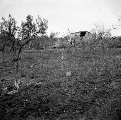 Minefield near the top of Licolle Ridge, c.1944 by English Photographer